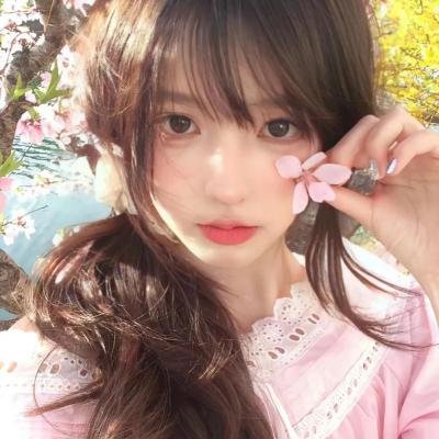 今天也很可爱的猫